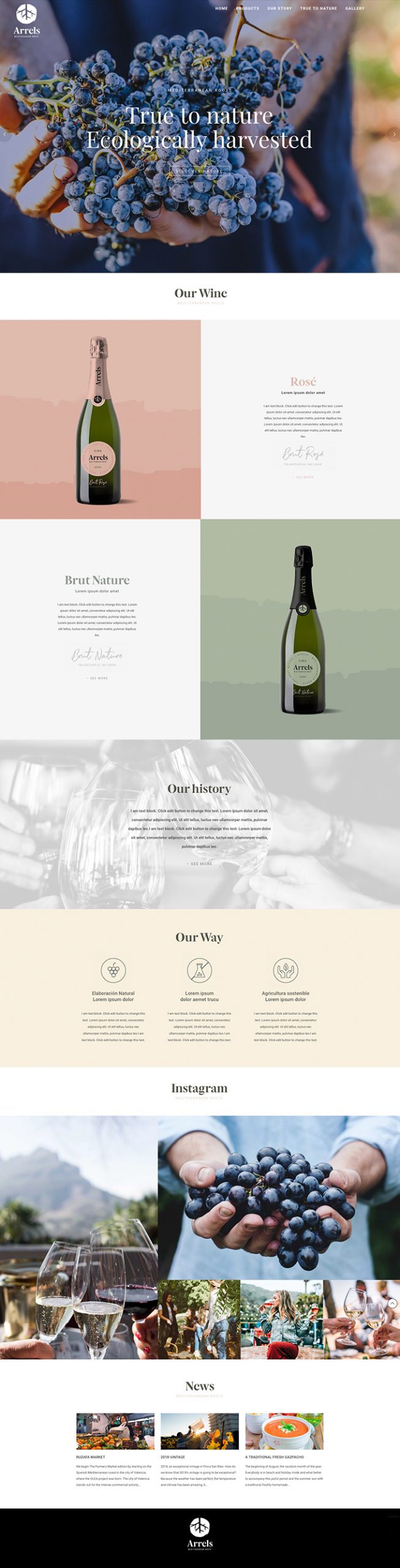 Boro-Serra_Web_Design_IW-02